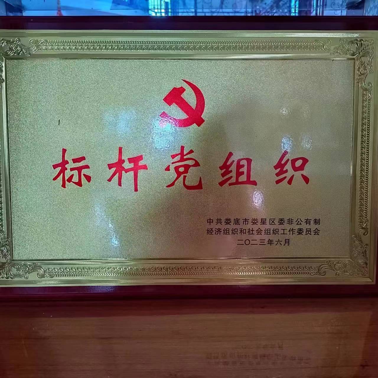 标杆党组织